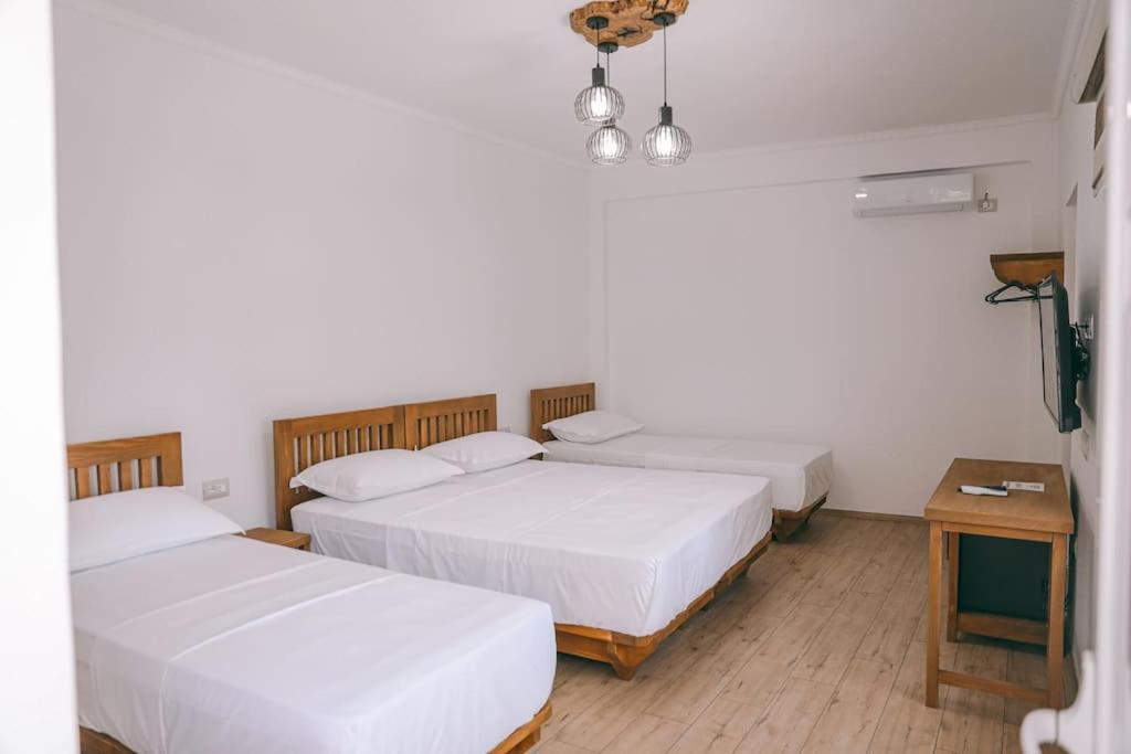 Cereni Guesthouse Berat Exteriör bild