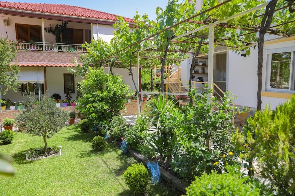 Cereni Guesthouse Berat Exteriör bild
