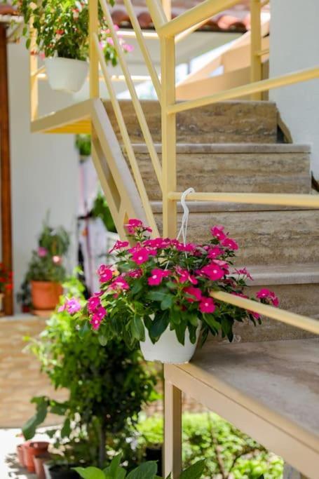 Cereni Guesthouse Berat Exteriör bild