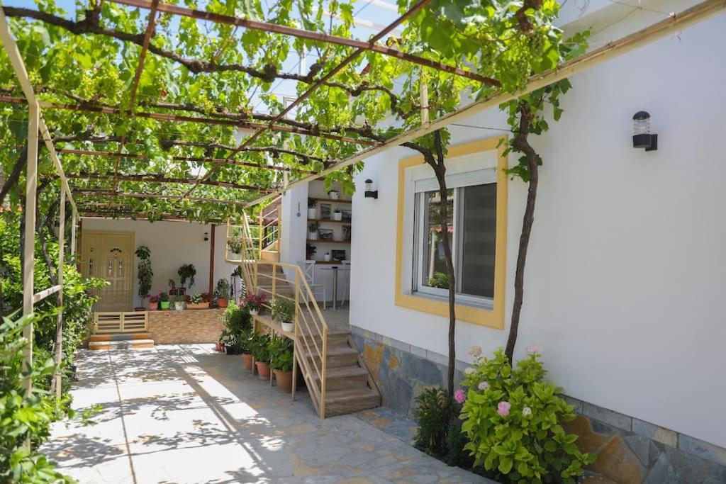 Cereni Guesthouse Berat Exteriör bild